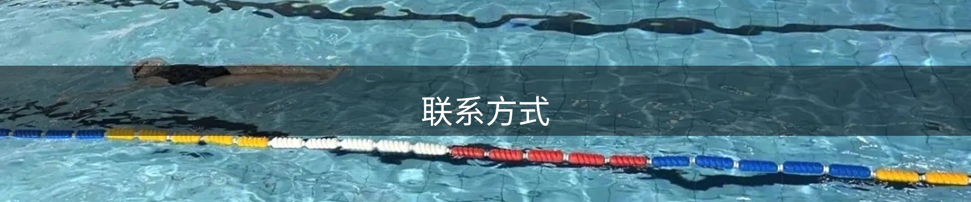 联系方式